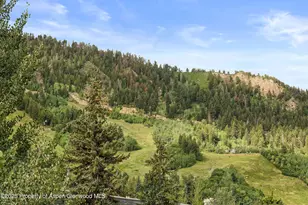 450 S Original St, Aspen, CO 81611 - Photo 6