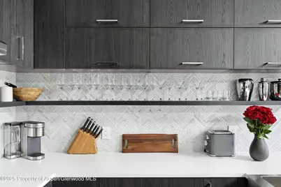 450 S Original Street #8, Aspen, CO 81611 - Photo 10