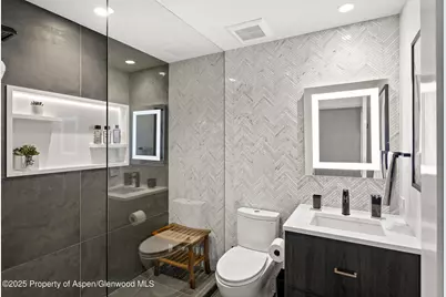 450 S Original Street #8, Aspen, CO 81611 - Photo 16