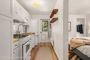 500 W Francis St, Aspen, CO 81611 - Photo 52