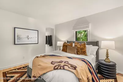 500 W Francis Street, Aspen, CO 81611 - Photo 54