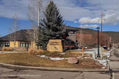 409 Dolores Way, Carbondale, CO 81623 - Photo 8