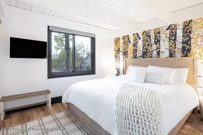 901 E Hyman Avenue #4, Aspen, CO 81611 - Photo 6