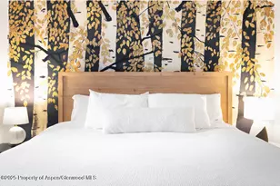 901 E Hyman Ave, Aspen, CO 81611 - Photo 8