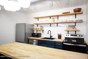 901 E Hyman Ave, Aspen, CO 81611 - Photo 18