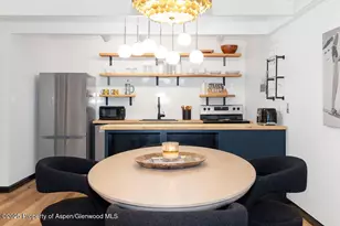 901 E Hyman Ave, Aspen, CO 81611 - Photo 20