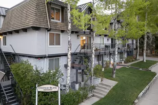 901 E Hyman Ave, Aspen, CO 81611 - Photo 22