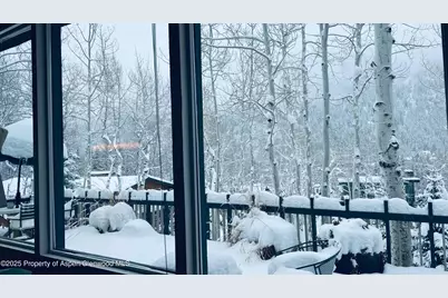 302 Roaring Fork Drive, Aspen, CO 81611 - Photo 26