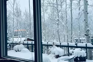 302 Roaring Fork Dr, Aspen, CO 81611 - Photo 26