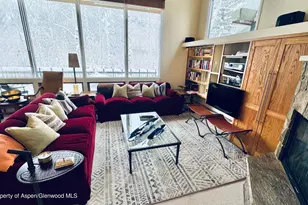 302 Roaring Fork Dr, Aspen, CO 81611 - Photo 8