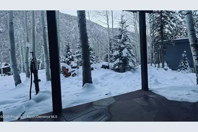 302 Roaring Fork Drive, Aspen, CO 81611 - Photo 24