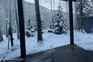 302 Roaring Fork Dr, Aspen, CO 81611 - Photo 24