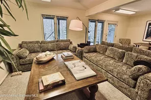 302 Roaring Fork Dr, Aspen, CO 81611 - Photo 22