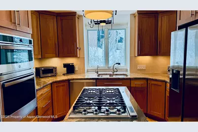 302 Roaring Fork Drive, Aspen, CO 81611 - Photo 6