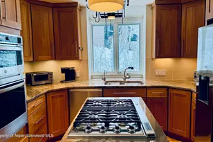 302 Roaring Fork Dr, Aspen, CO 81611 - Photo 6