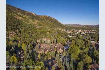 610 S West End Street #D304, Aspen, CO 81611 - Photo 14