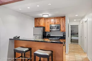 610 S West End St, Aspen, CO 81611 - Photo 8