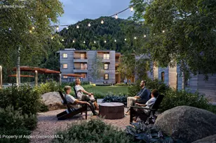610 S West End St, Aspen, CO 81611 - Photo 16