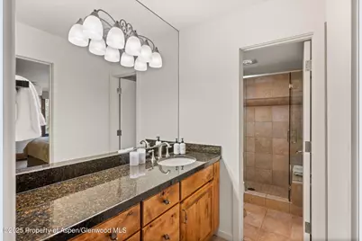 610 S West End Street #D304, Aspen, CO 81611 - Photo 8