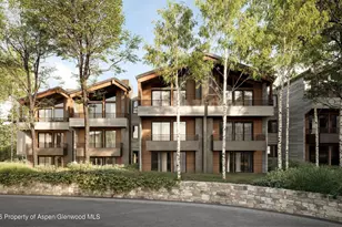 610 S West End St, Aspen, CO 81611 - Photo 22