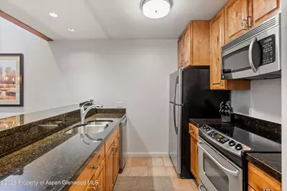 610 S West End Street #D304, Aspen, CO 81611 - Photo 6