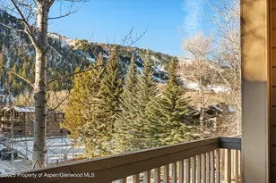610 S West End St, Aspen, CO 81611 - Photo 10