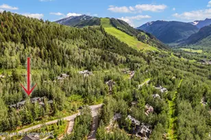 761 Moore Dr, Aspen, CO 81611 - Photo 68