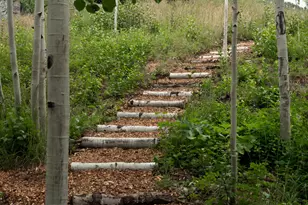 724 N Hayden Rd, Aspen, CO 81611 - Photo 36