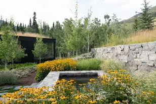 724 N Hayden Rd, Aspen, CO 81611 - Photo 30