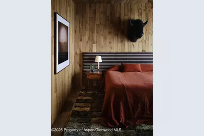 724 N Hayden Road, Aspen, CO 81611 - Photo 16