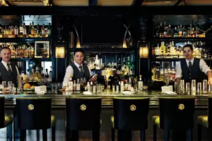 219 E Durant Ave, Aspen, CO 81611 - Photo 20