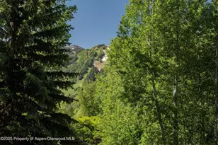 62 Bennett Ct, Aspen, CO 81611 - Photo 22