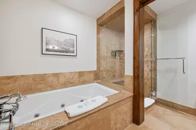 415 E Dean St., Unit 31, Week 11, Aspen, CO 81611 - Photo 22