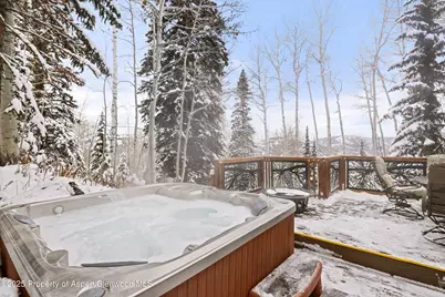 818 Faraway Road, Snowmass Village, CO 81615 - Photo 26