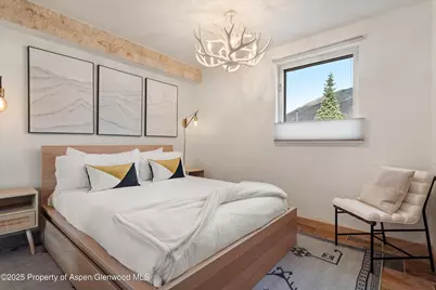434 E Main Street #102, Aspen, CO 81611 - Photo 6