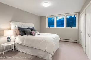 1650 Homestake Dr, Aspen, CO 81611 - Photo 20