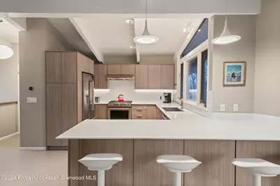 1650 Homestake Drive, Aspen, CO 81611 - Photo 8