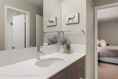 1650 Homestake Drive, Aspen, CO 81611 - Photo 22