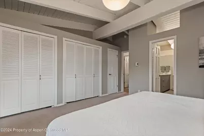 1650 Homestake Drive, Aspen, CO 81611 - Photo 12