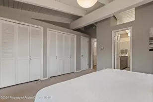 1650 Homestake Dr, Aspen, CO 81611 - Photo 12