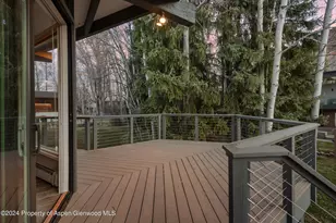 1650 Homestake Dr, Aspen, CO 81611 - Photo 28