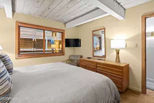 131 E Durant Ave, Aspen, CO 81611 - Photo 12