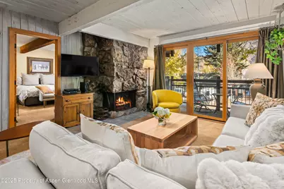 131 E Durant Avenue #202, Aspen, CO 81611 - Photo 4