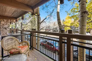131 E Durant Ave, Aspen, CO 81611 - Photo 10