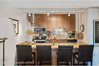 131 E Durant Avenue #202, Aspen, CO 81611 - Photo 6