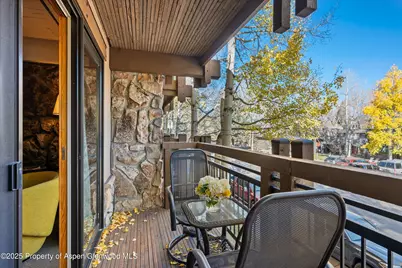 131 E Durant Avenue #202, Aspen, CO 81611 - Photo 8
