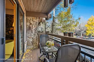 131 E Durant Ave, Aspen, CO 81611 - Photo 8