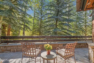 81 Spruce Ridge Lane, Snowmass Village, CO 81615 - Photo 22