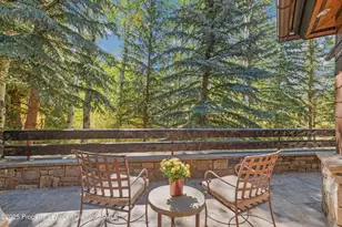 81 Spruce Ridge Ln, Snowmass Village, CO 81615 - Photo 22