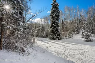 81 Spruce Ridge Ln, Snowmass Village, CO 81615 - Photo 48